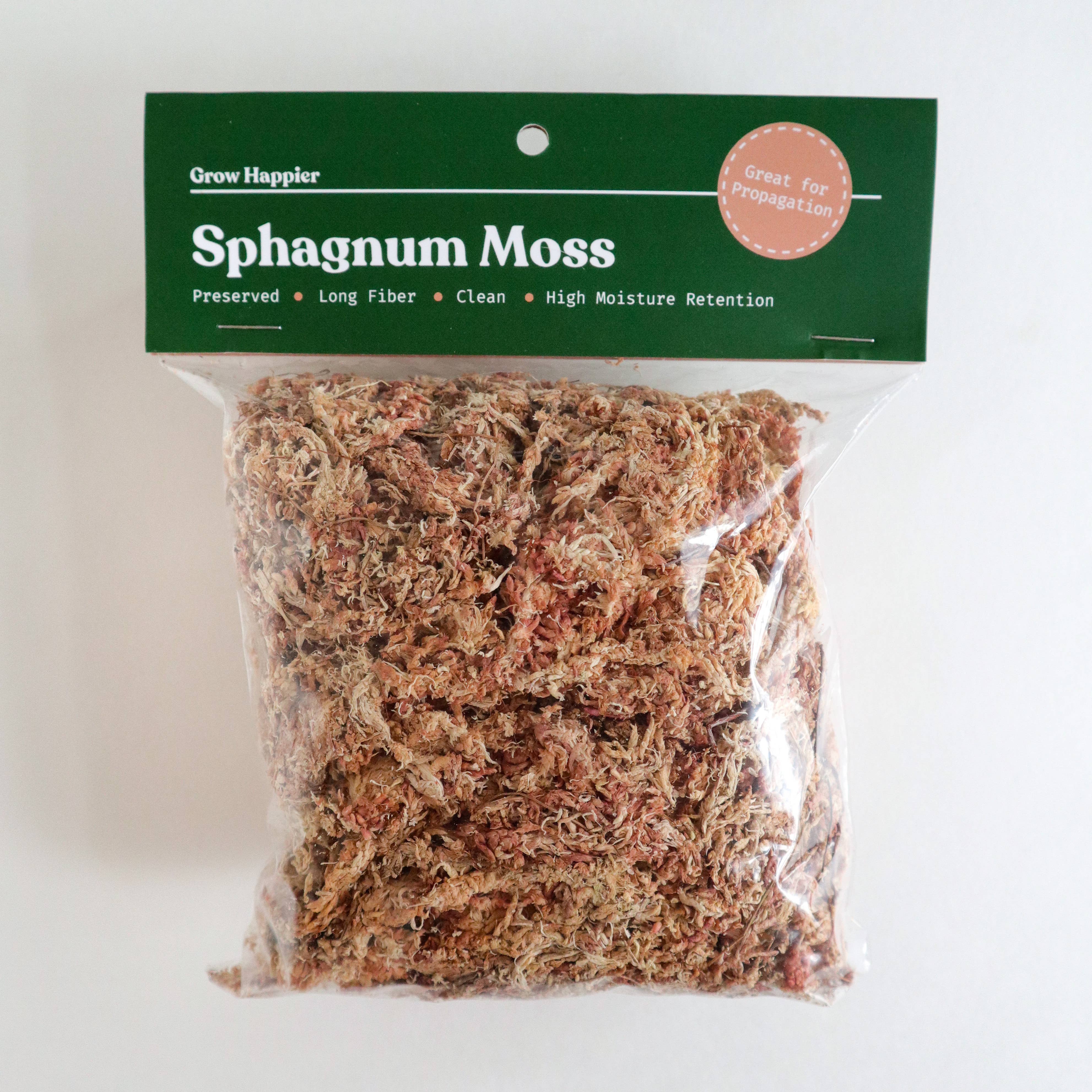 Sphagnum Green Moss - Preserved