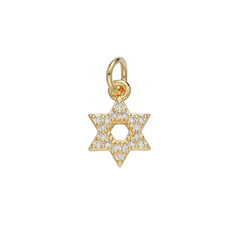 It's Especially Lucky Small Star of David Charm