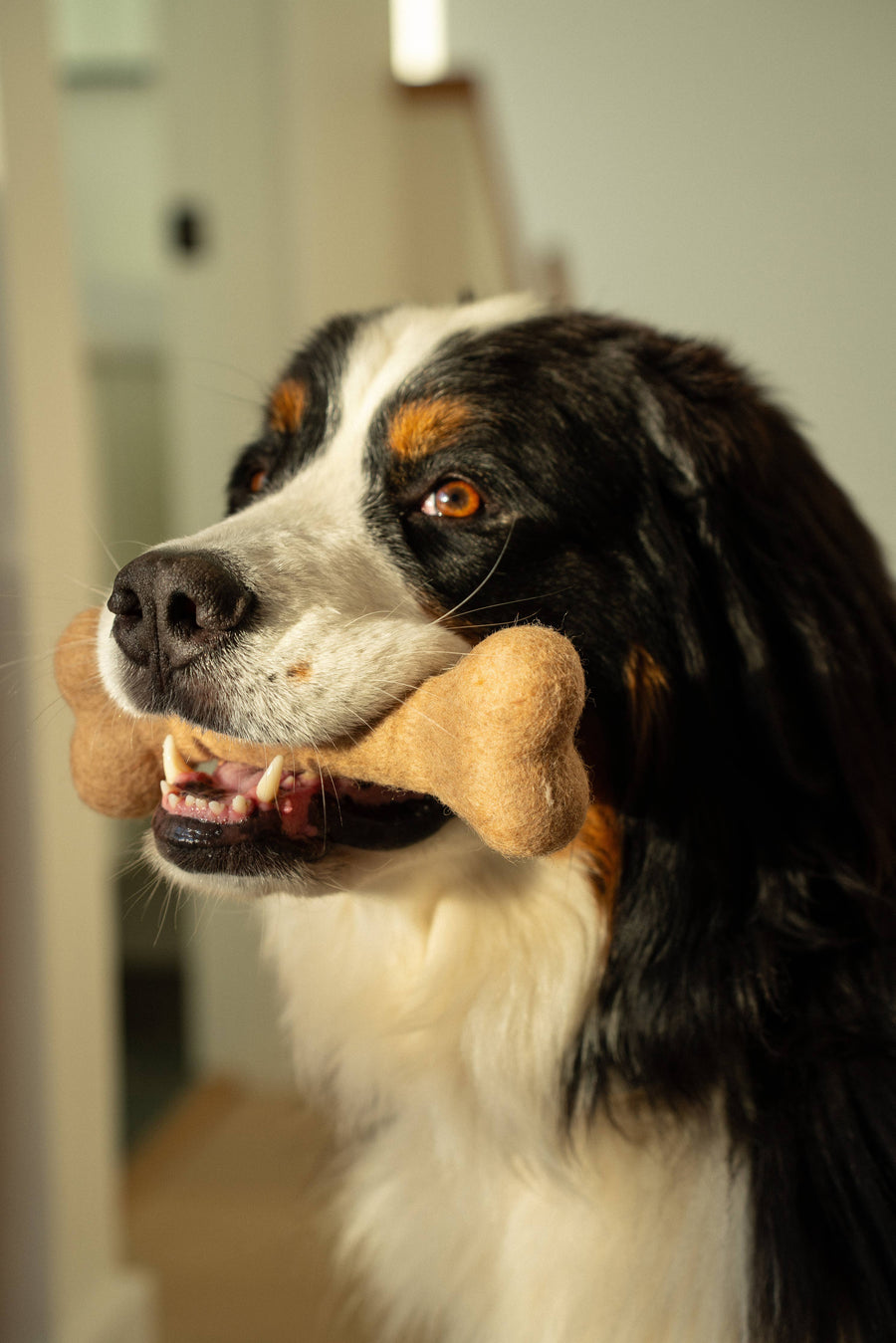 Indaba Trading - Felted Dog Bones S/3