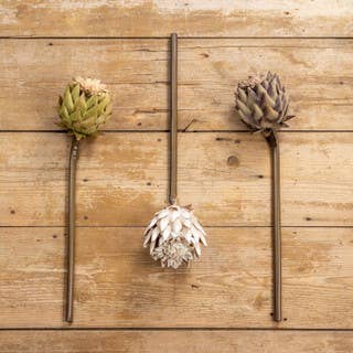 22" BEIGE LARGE ARTICHOKE SPRAY