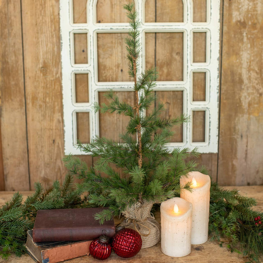 2' PINE TREE WITH BURLAP BASE