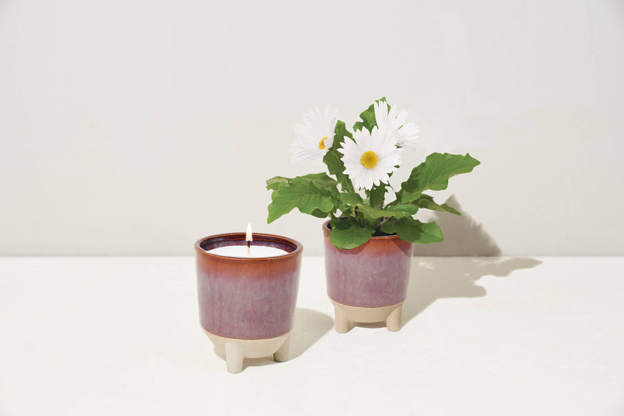 Modern Sprout - Glow & Grow Candle Wildflower Fields