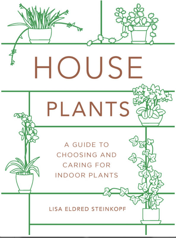 Houseplants: Choosing & Caring for Indoor Plants